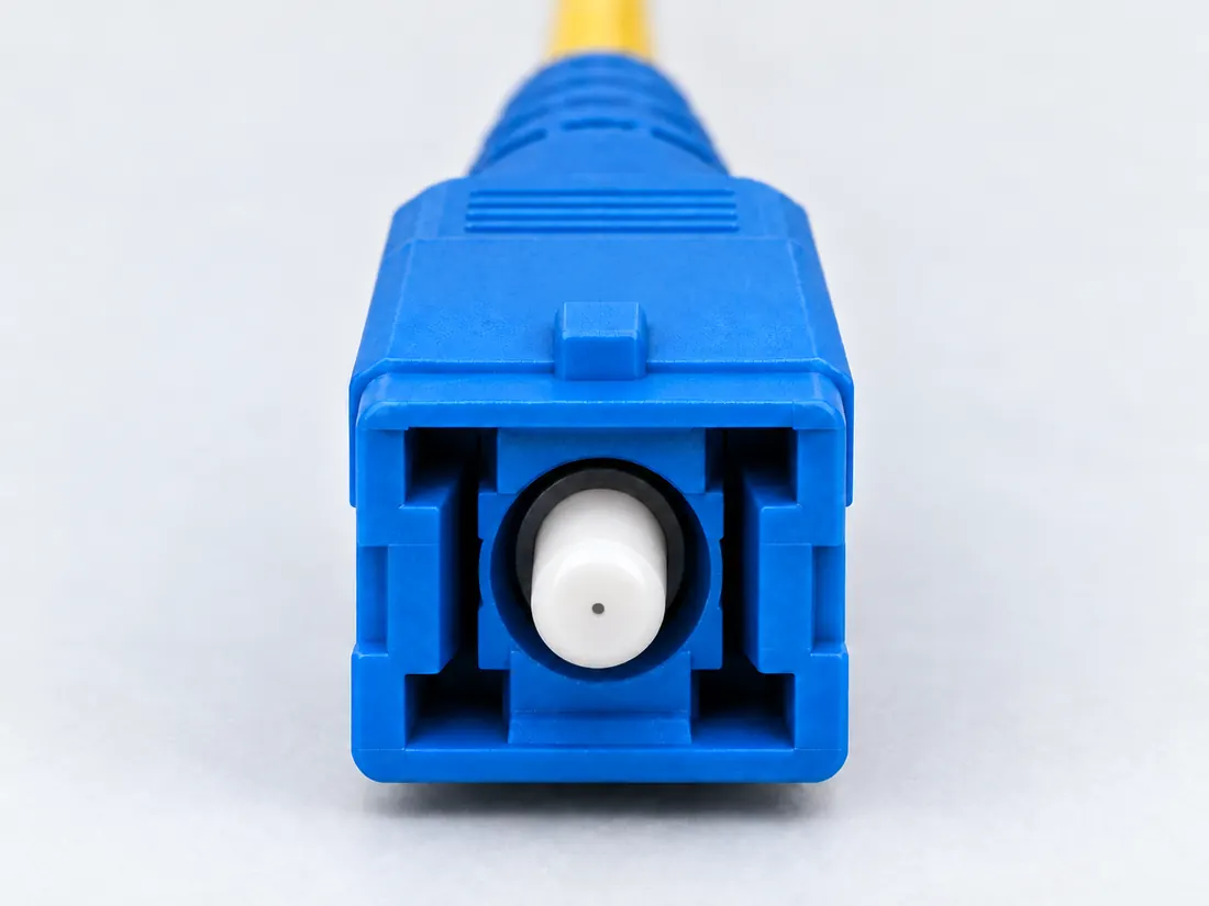 Computer-generated illustration, not a photograph.