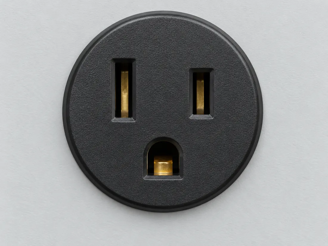 NEMA 5-15P plug: fitted in place. Computer-generated illustration, not a photograph.