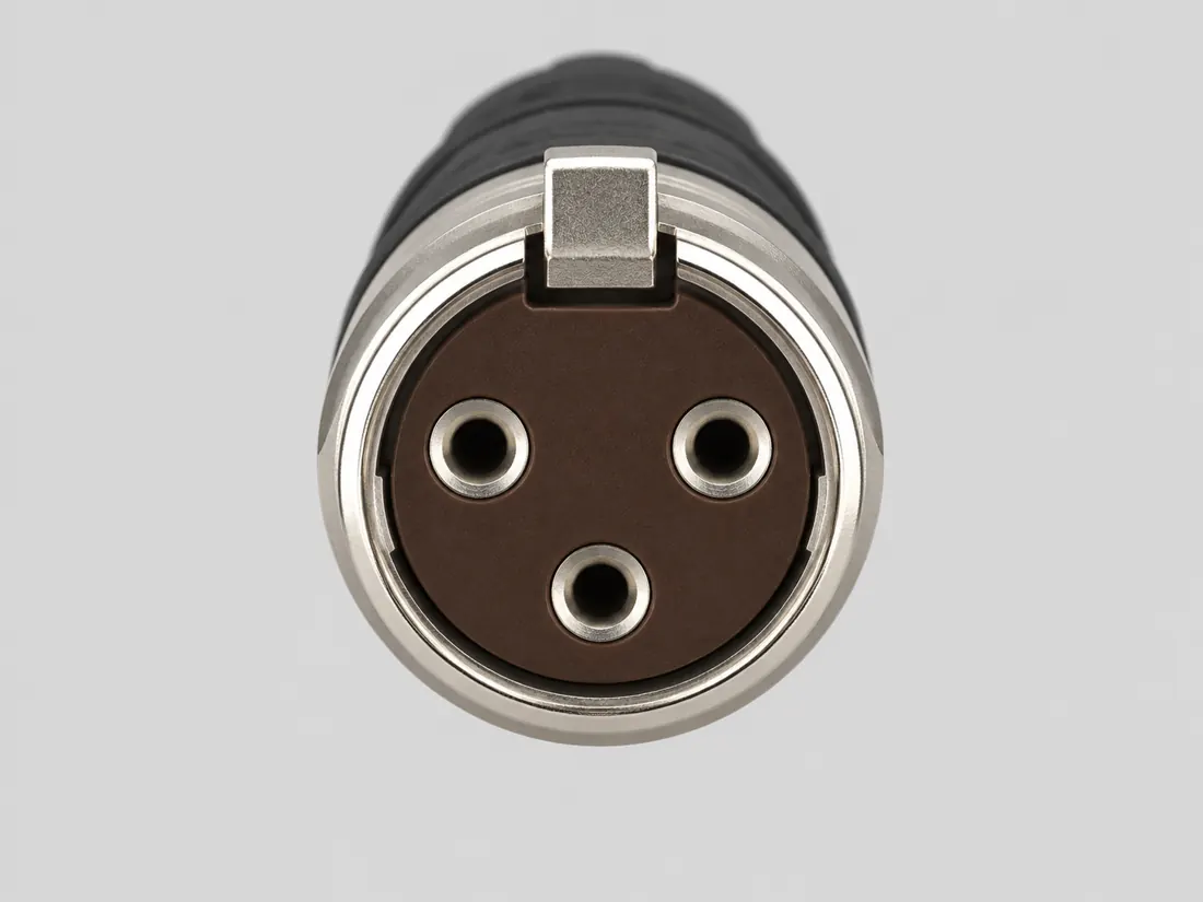 Computer-generated illustration, not a photograph.